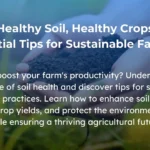 tips to Understand Soil Health