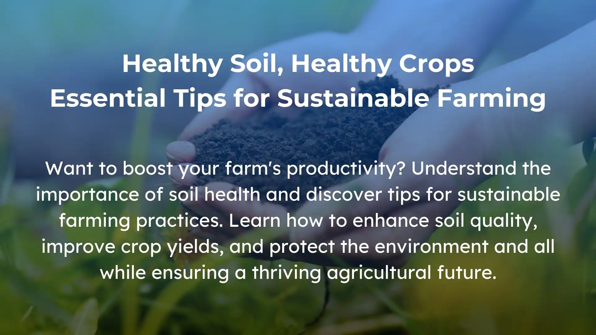 tips to Understand Soil Health